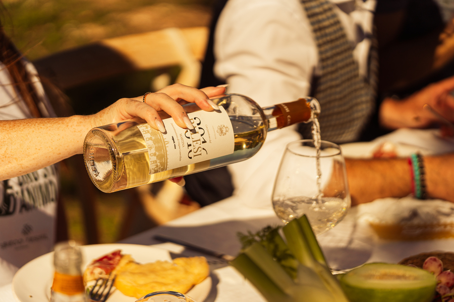 Vineyard Tastings – Events in Masseria Palesi (24)