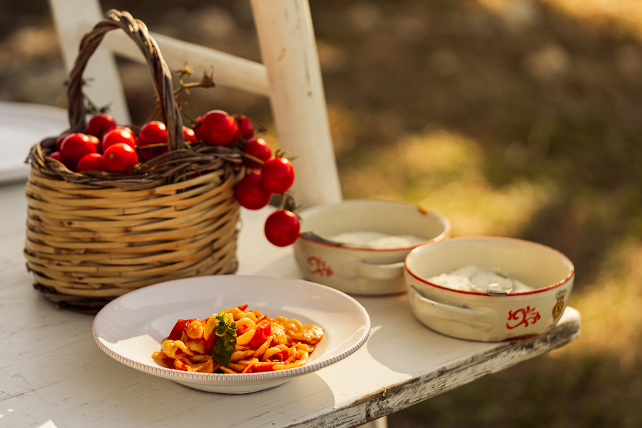 Vineyard Tastings – Events in Masseria Palesi (28)