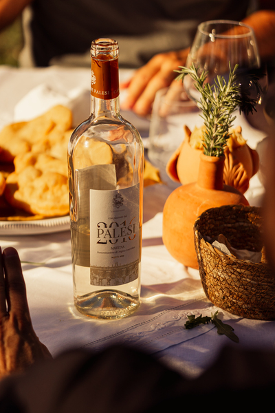 Vineyard Tastings – Events in Masseria Palesi (30)