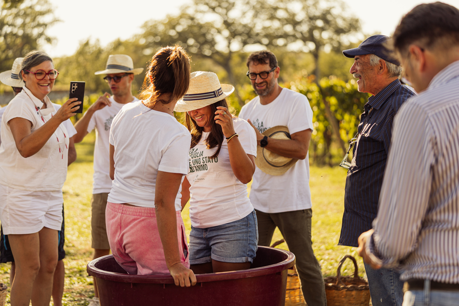 Vineyard Tastings – Events in Masseria Palesi (46)
