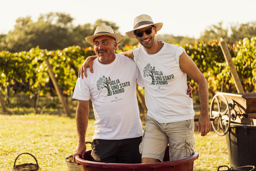 Vineyard Tastings – Events in Masseria Palesi (53)