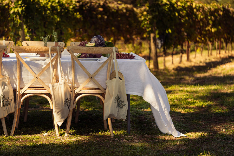 Vineyard Tastings – Events in Masseria Palesi (59)