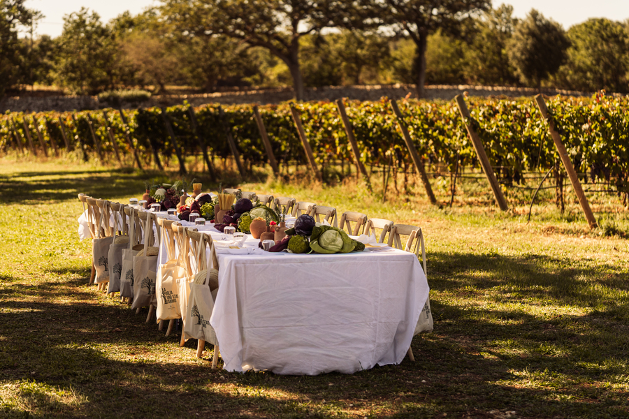 Vineyard Tastings - Events in Masseria Palesi