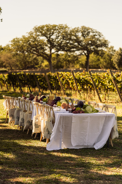 Vineyard Tastings – Events in Masseria Palesi (61)