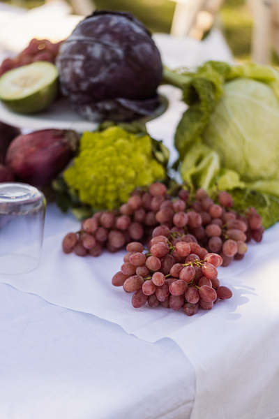 Vineyard Tastings – Events in Masseria Palesi (65)