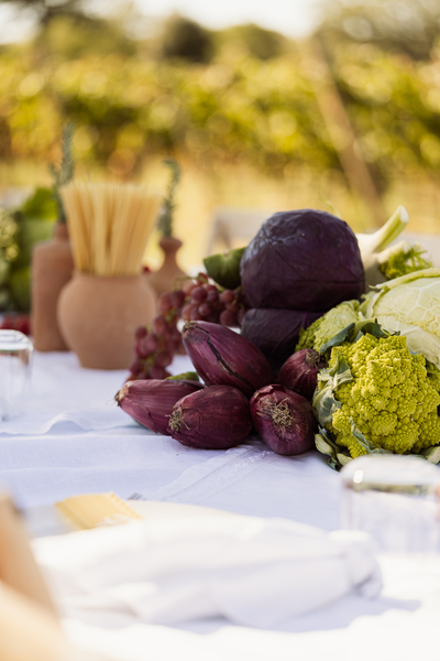 Vineyard Tastings – Events in Masseria Palesi (67)