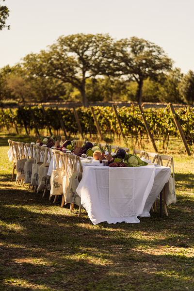 Vineyard Tastings - Palesi Winery